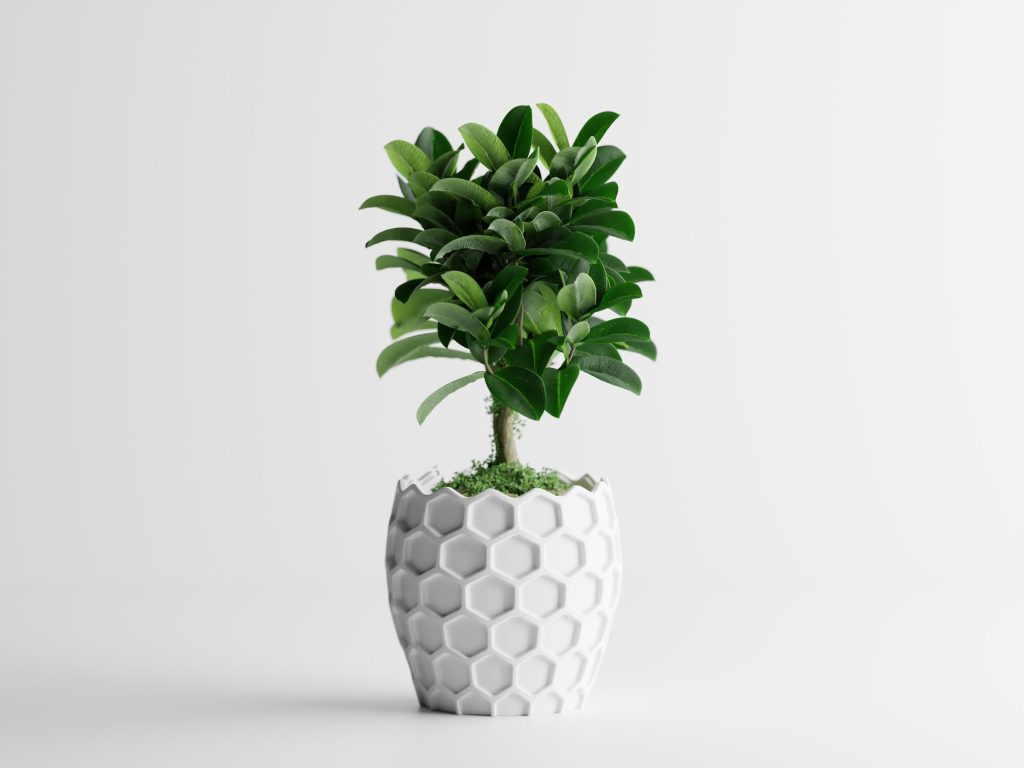 Beehavia Honeycomb Planter – 4" – product image