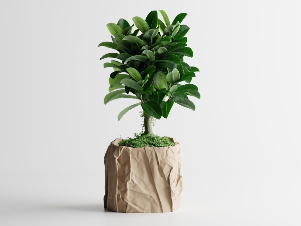 Crumbled Paper Square Planter – 4" – product image