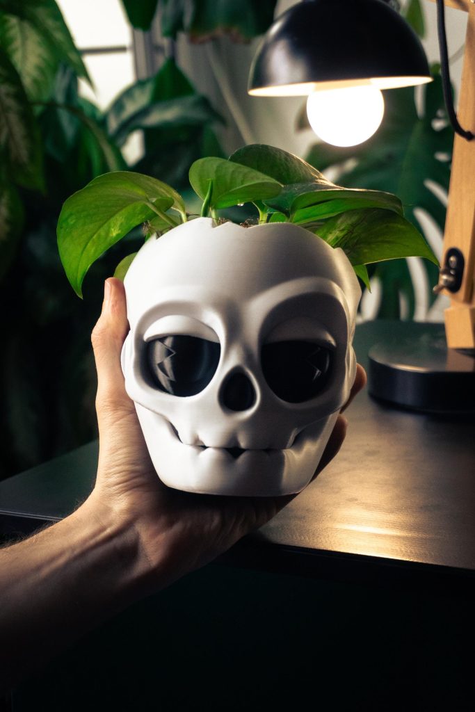 Skull Planter with Jaw Drainage Tray – 4" – product image